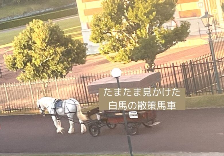 白馬の馬車